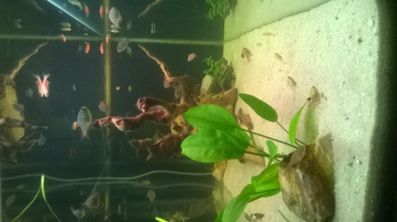 WP_20160913_20_40_53_Pro.jpg