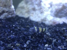 Fishkeeper202