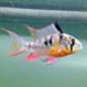 Th3Fishman
