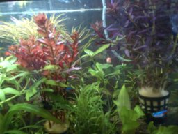 fishfanatic72